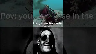 TERRIFYING Sea Creatures Part 2