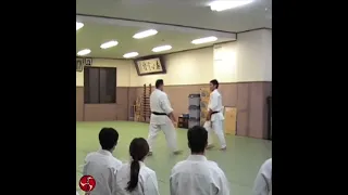 Film 9, Sakai Sensei, Shodokan Aikido, Osaka, 2010