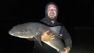 Westernport bay monster Gummy Shark | The road to the 20kg Gummy shark ep7