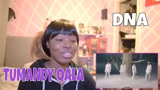 My Reaction to DNA - TUMANDY QALA [Official M/V]