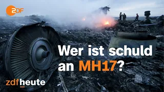 Der letzte Flug der MH17 - Rekonstruktion eines Verbrechens | auslandsjournal