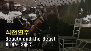 결혼식연주·웨딩연주 | Beauty and the Beast (미녀와 야수) | 식전연주 | 피아노 3중주