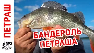 БАНДЕРОЛЬ ПЕТРАША! Рыболовный набор ДЛЯ ЛОВЛИ ОКУНЯ на микроджиг