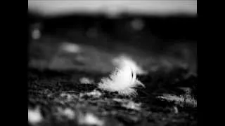 Umbra et Imago - Ein Letztes Mal feat. Leaves Eyes