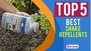 The 5 Best Snake Repellents Reviews for 2023