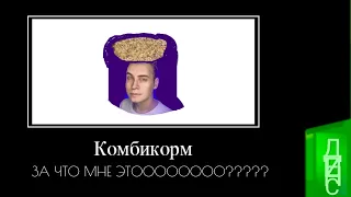 Ютуберы + ШИЗА =