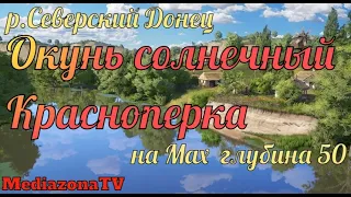 Русская Рыбалка 4 р Северский донец Окунь солнечный Красноперка на Мах 18 05 23