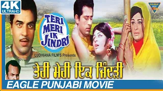 TERI MERI IK JINDRI  (HD) | Dharmendra, Veerendra, Mehar Mittal, Meena Rai |Eagle Hindi Movies