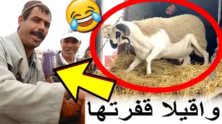 شناق فقد السيطرة وبدا يضحك على الناس في ثمن الحولي ومتخيلش أشنو دارو ليه