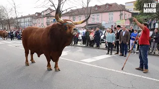 Arcos de Valdevez foi palco do Desfile de Bois de Páscoa | Altominho TV