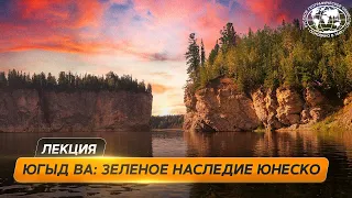 Девственные леса Коми | @Русское географическое общество