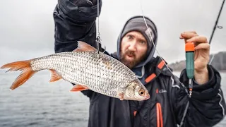 Mit Köderfisch und Pose auf riesige Winterhechte (BISS auf BISS)