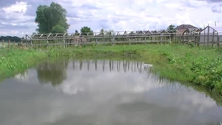 ПРУД В ДЕРЕВНЕ, год спустя.