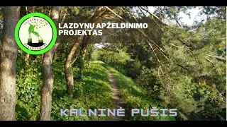 Kalninės pušys