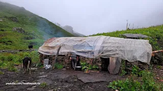 Most Relaxation himalayan village life into the Rain | Dolpa Nepal | Shepherd Life in Dolpa |