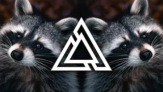 Raffaella Carra x Jaxomy & Agatino Romero - Pedro (Techno Extended Remix) TikTok Raccoon Dance Song