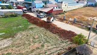 Incredible Project Landfill Good Action By Two D31P Dozer Pushing Soil & 5Ton Truck Unloading Soil