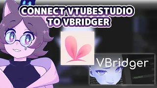 【TUTORIAL】How to Connect VtubeStudio to VBridger with IPhone 🔔