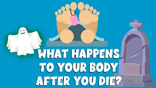 What happens to your body after you die | The Stages of Human Decomposition | Video for kids