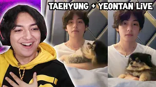 Cute Taehyung & Yeontan Weverse Live - Reaction 13.04.2023