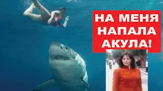 На меня напала акула Как это было