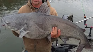 This was swimming right in front of the boat ramp!