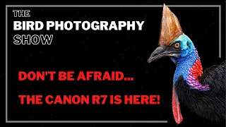 R7 for Bird Photography | Photographing in Heavy Rain | Giveaway!