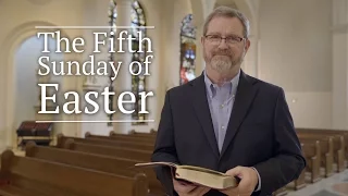 Jeff Cavins' Reflection for the Fifth Sunday of Easter