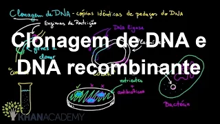 Clonagem de DNA e DNA recombinante | Biotecnologia | Biologia | Khan Academy