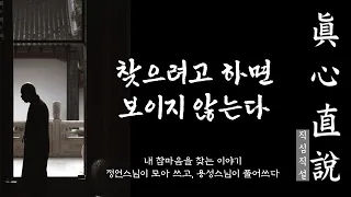 생각의 틀을 바꾸는 한마디 26 | 찾으려면 보이지 않는다_정언스님| 내 참마음을 찾는 이야기(진심직설)