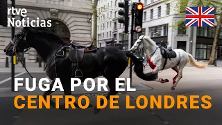 LONDRES: Varios CABALLOS del EJÉRCITO siembran el CAOS durante DOS HORAS y HIEREN a CUATRO PERSONAS