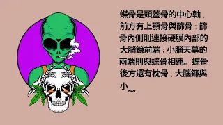 我想為你說段書/頭薦骨按摩自療法/頭蓋骨的最佳均衡度　～頭薦骨按摩自療法的祕密