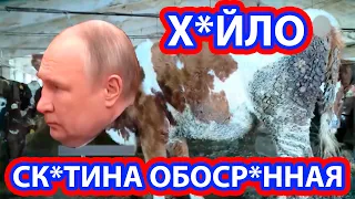 Путин корова обосрался в Украине