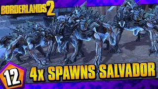 Borderlands 2 | Quadruple Spawns Salvador Funny Moments And Drops | Day #12