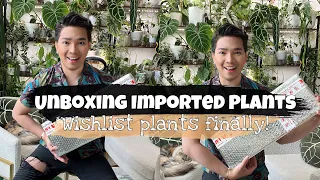 Unboxing Wishlist Plants 🪴 | AroidAsia | Imported Plants #plantunboxing #planthaul