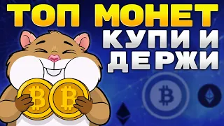 В какие монеты инвестировать на долгосрок? Составляем долгосрочный портфель