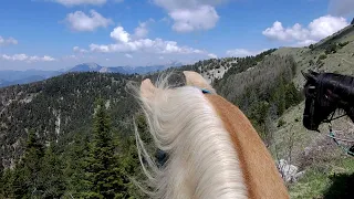 🐎 Rando à Cheval dans les Hautes Alpes 34 "LA ROCHE DES ARNAUDS - CÉÜSE - 05/22" 🐎