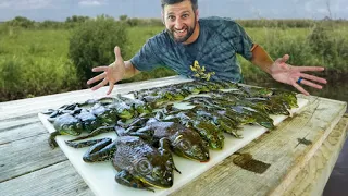 GIGANTIC Louisiana SWAMP FROGS Catch and Cook