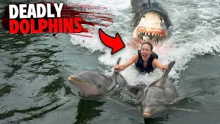 These 3 People Were DEVOURED While Swimming With Dolphins!