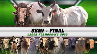 SEMI FINAL em TOUROS | RODEIO de LAGOA FORMOSA-MG 2023