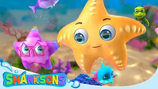 Twinkle Twinkle Little Starfish!! | Videos for Kids | Nursery Rhymes & Kids Songs | The Sharksons