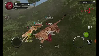 wild  animals online wao but everytime I kill I get 10 lvl in my status  playing as tiger