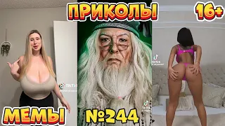 19 МИНУТ СМЕХА ДО СЛЁЗ | ЛУЧШИЕ ПРИКОЛЫ | ВЗРОСЛЫЙ ЮМОР l TikTok УГАР l #244