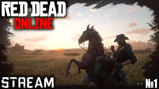 Red Dead Online: Первый запуск / Вечерний стрим. РДР ОНЛАЙН