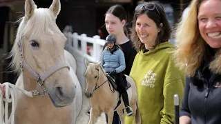 Unglaubliche Verwandlung von diesem Pferd - Pferdebsitzerin erkennt Ihren Wallach nicht wieder