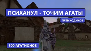 НАСТАЛО ВРЕМЯ ДЕЛАТЬ 8 АГАТИОНЫ - 300 АГАТОВ - КОДИКИ - ПОЗИТИВ Lineage 2 Essence