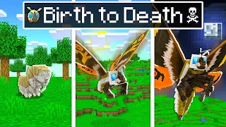 Baby Shark - Birth to Death in as MOTHRA KAIJUS in Minecraft - Animation!