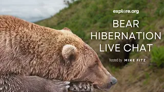 Can Bear Hibernation Advance Human Health? | Live Chat