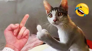 New Funny Animals 2024 😅 Funniest Cats and Dogs Videos 😹🐶 Part 5
