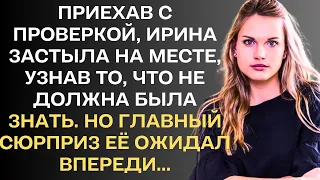 Приехав с проверкой, Ирина застыла, узнав то, что не должна была знать. Но главный сюрприз её ждал